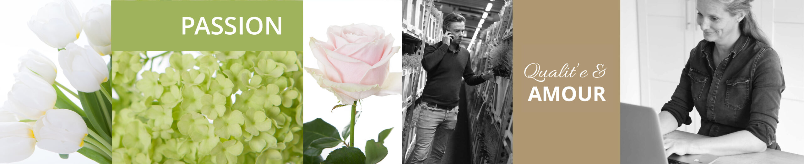 2.-BP-voorjaar-desktop-banner-PASSION-QUALITY-CRAFT-1024x210-2-frans